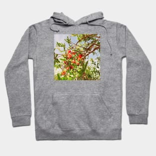 Xmas, Christmas, , tree, bloom autumn, fall, leaves, leaf, holiday, holidays, green, red Hoodie